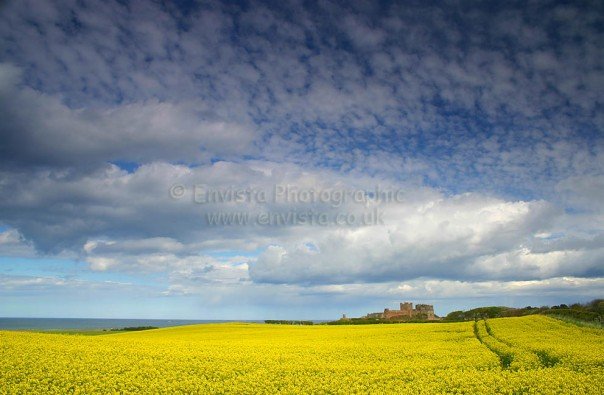 Northumberland Castle