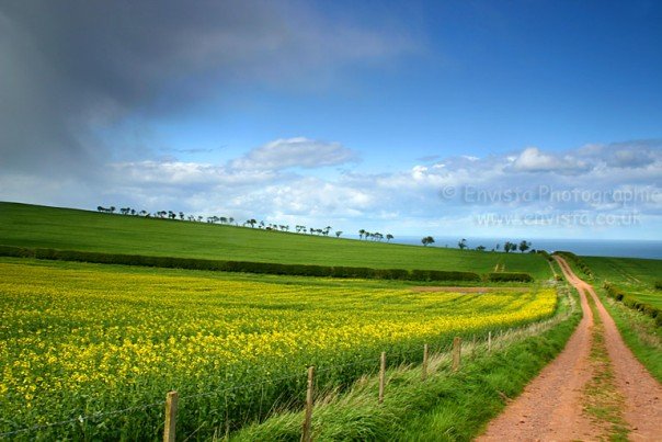 Northumberland View