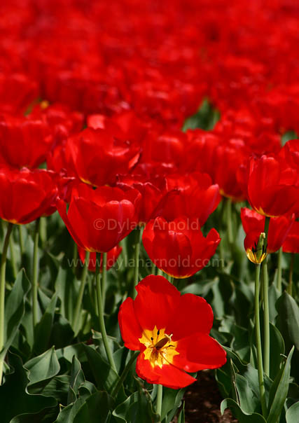 Outside the White House