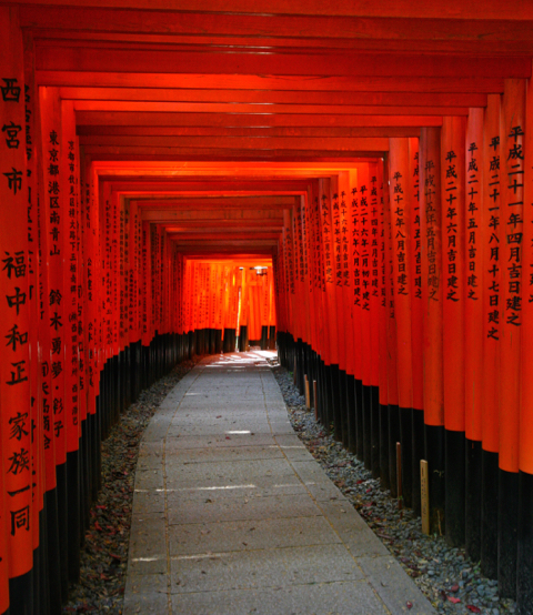 Torii Gates